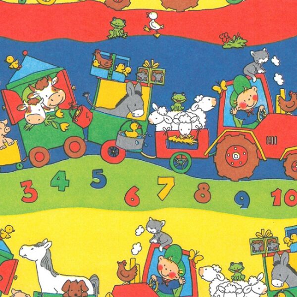 Roos Mooier Cadeaupapier regulier trein 70cm x 200mtr 60gr/m² KE