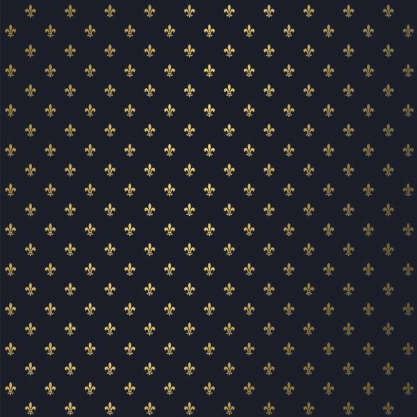 Roos Mooier Cadeaupapier Franse Lelie Blauw Goud 40cm x 200meter 80gr/m² KA