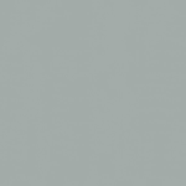 Roos Mooier Cadeauzakje Luxe Royal Zilver 12x19 DS a 200 st