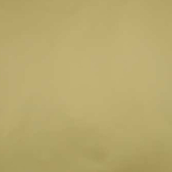 Roos Mooier Cadeau zakje Luxe Royal Gold 12x 19 DS a 200 st