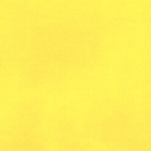 Roos Mooier Cadeaupapier Kraft Nature Eco Geel 50cm x 125meter 70gr/m² KE