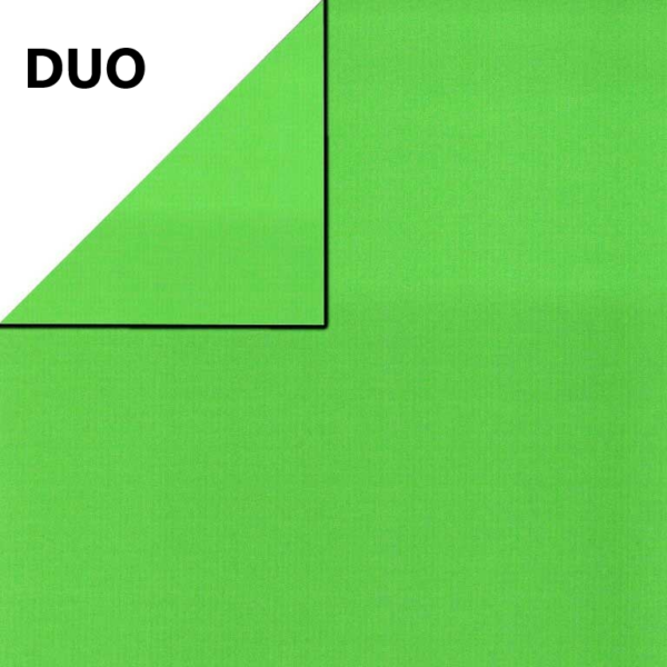 Roos Mooier cadeaupapier Kraft Duo Streep Appel Groen 50cm x 200mtr 70gr/m² KH