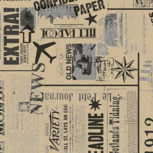 Roos Mooier cadeaupapier Recycled Newspaper Black 30cm x 250meter 70gr/m² K