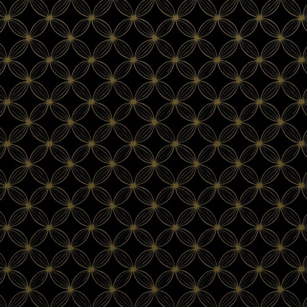 Roos Mooier Cadeaupapier Royal Zwart Ring Dots 50cm x 200mtr 80 gr KE