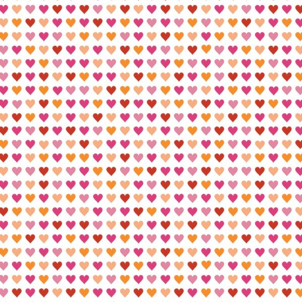 Roos Mooier Cadeaupapier Heart to Heart 50x150 74 gr KA