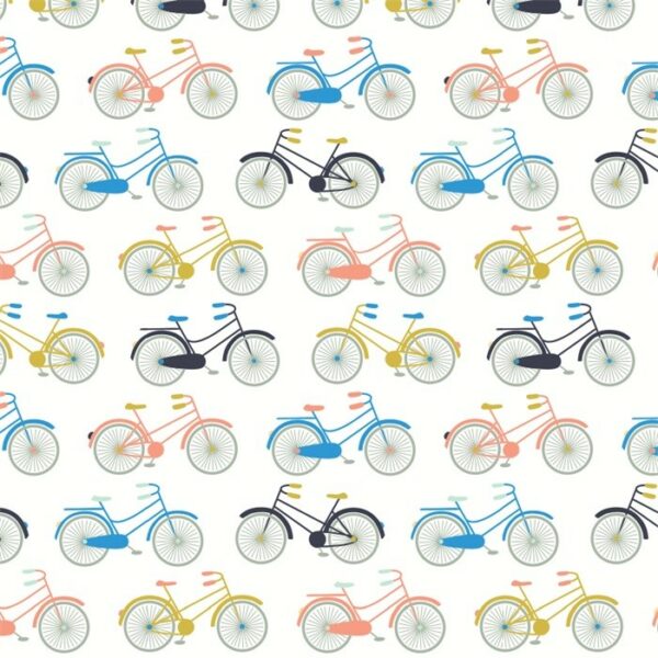 Roos Mooier Cadeaupapier Fietsenplan 70cm x 200 meter KE467 80gr/m²