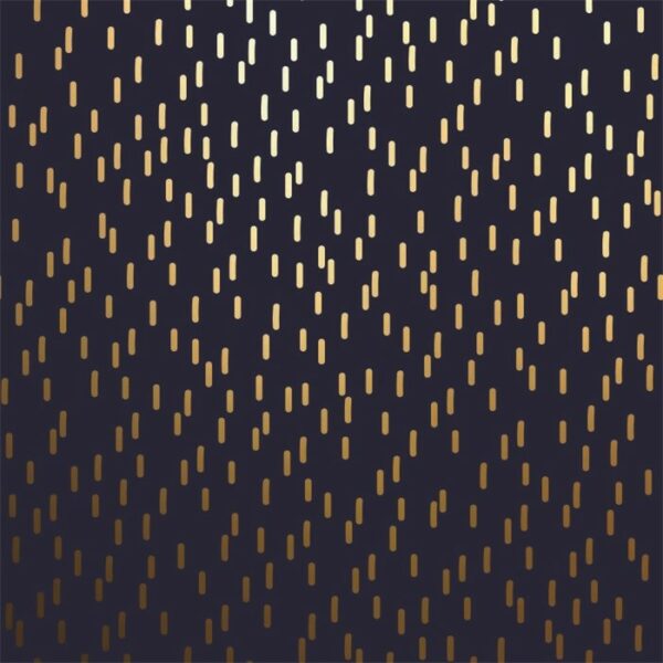 Roos Mooier Cadeaupapier Stripes gold Zwart 50cm x100meter ZP