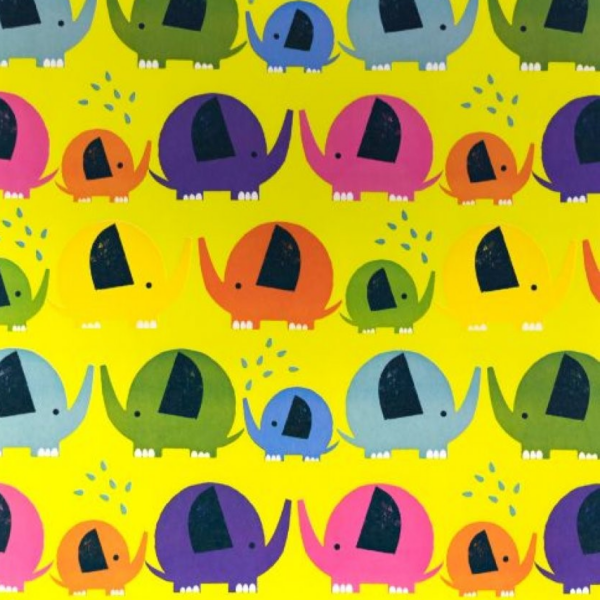 Roos Mooier Cadeaupapier Color Fant 50cm x 250 meter 70gr/m² RO