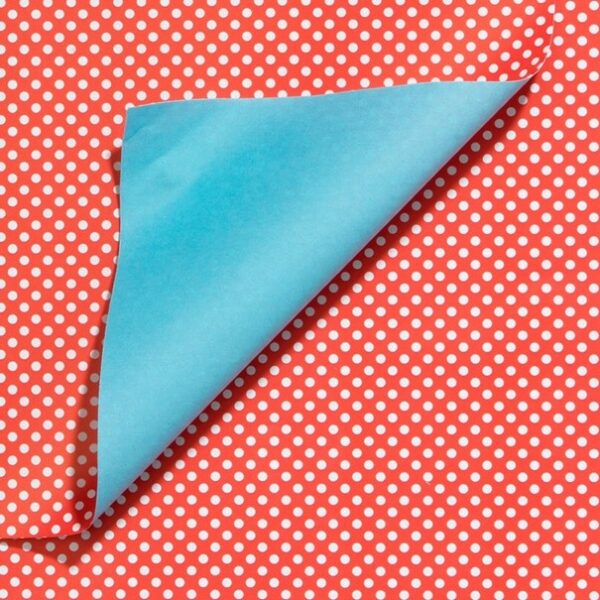 Roos Mooier Cadeauzakjes Stip rood blauw Duo 7x13cm 200stuks