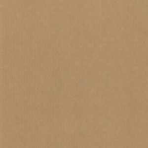 Roos Mooier Cadeaupapier Kraft 40cmx200m