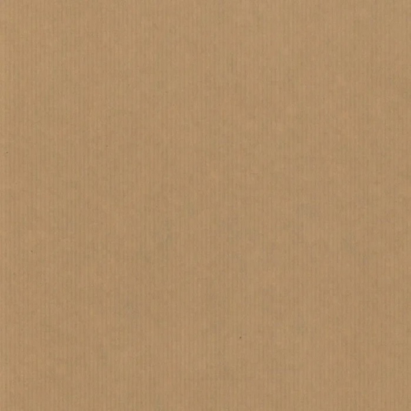 Roos Mooier Cadeaupapier Kraft 40cmx200m
