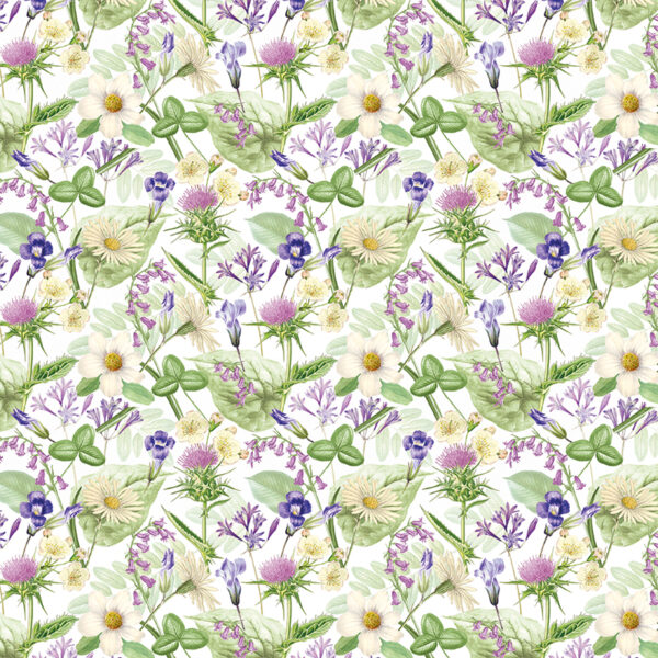 Roos Mooier Cadeaupapier Bloemenveld 50cmx250m