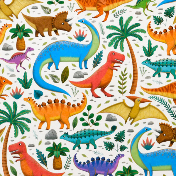 Roos Mooier Cadeaupapier Dino's 50cmx150m
