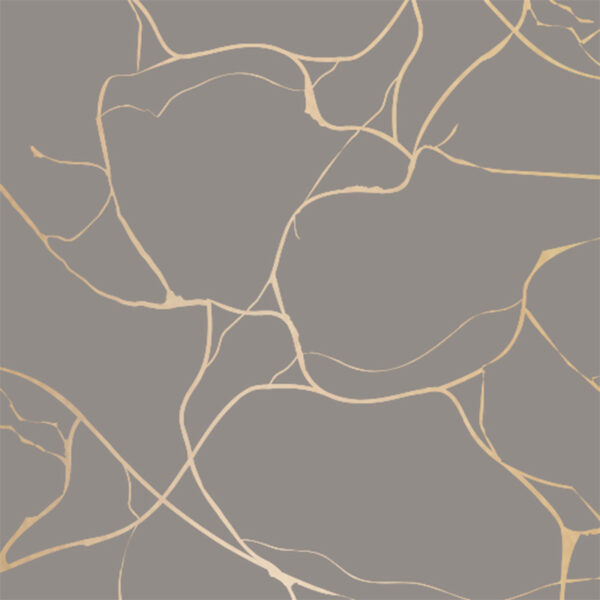 Roos Mooier Cadeaupapier Valo taupe-goud 30cmx200m