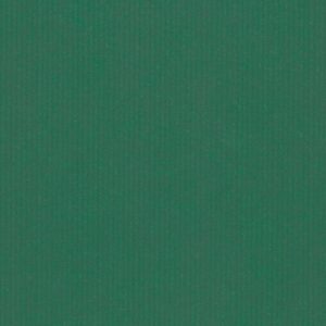 Roos Mooier Cadeauzakje Kraft Groen 12x19 DS a 200 st
