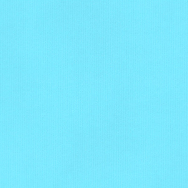 Roos Mooier Cadeaupapier Kraft Nature Eco Baby Blauw 50cm x 125meter 70gr/m² KE