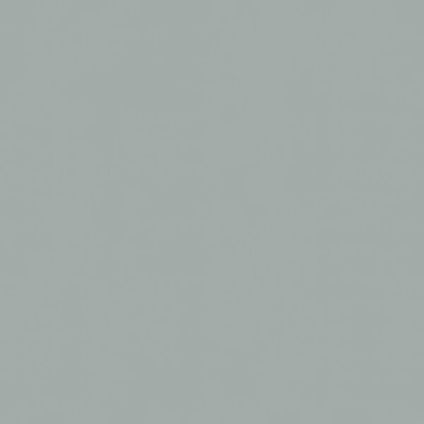Roos Mooier Cadeaupapier  Royal Zilver 40cm x 200cm 70 gr KE574