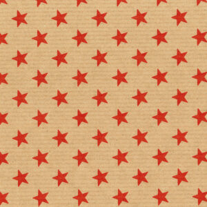 Roos Mooier Cadeaupapier Kerst ster duo groen kraft 50cm x 250m
