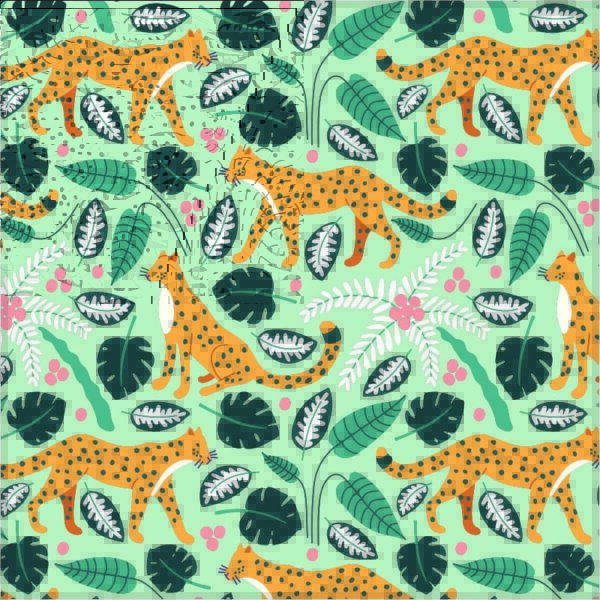 Roos Mooier Cadeaupapier Wilde Kat 30cm x 200mtr 80gr/m² KE