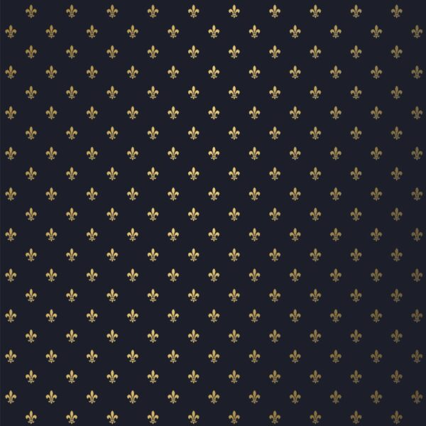 Roos Mooier Cadeaupapier Franse Lelie Blauw Goud 40cm x 200meter 80gr/m² KA