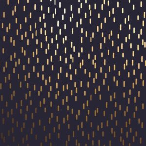 Roos Mooier Cadeaupapier Stripes gold Zwart 50cm x100meter ZP