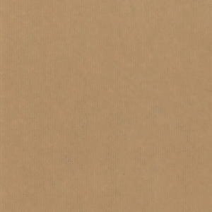 Roos Mooier Cadeaupapier Kraft 40cmx200m