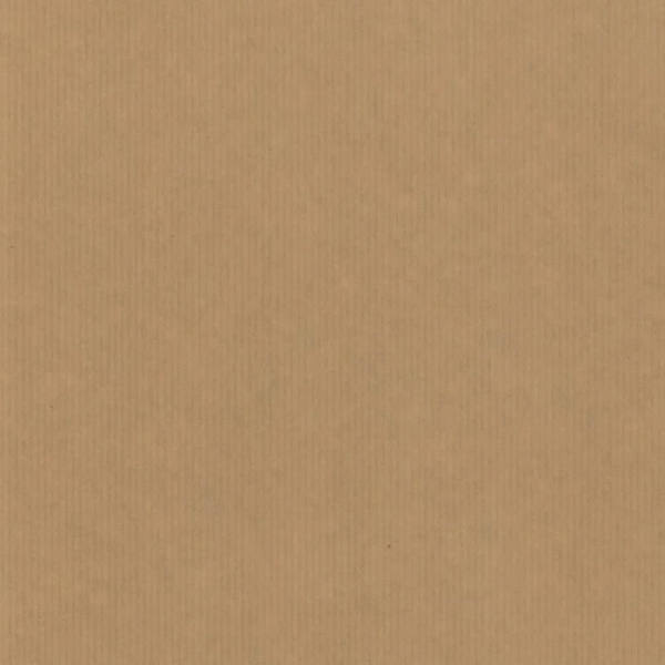 Roos Mooier Cadeaupapier Kraft 40cmx200m