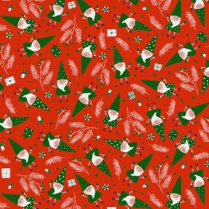 Roos Mooier Cadeaupapier Kerst rood-groen kerstman 30cm x 200m
