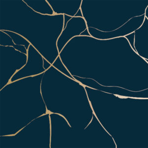 Roos Mooier Cadeaupapier Valo Marine blauw -goud 30cmx200m