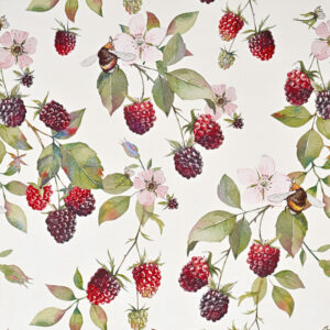 Roos Mooier Cadeaupapier Bramen 50cmx150m